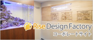 �饤���ǥ�����ե����ȥ꡼ �����ݥ졼�ȥ�����