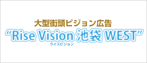 �饤���ӥ����